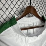 Mens Nigeria 2024/25 Home Shorts 4