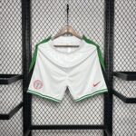 Mens Nigeria 2024/25 Home Shorts