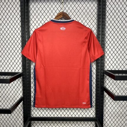 Mens Lille OSC 2024/25 Home Jersey 1