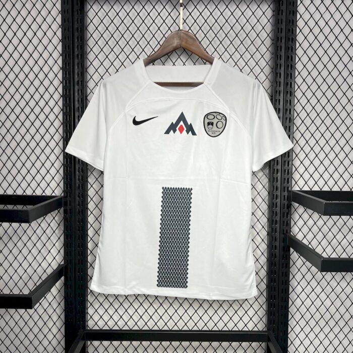 Mens Slovenia 2024/25 Home Jersey 2