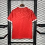 Mens Denmark 2024/25 Home Jersey 1