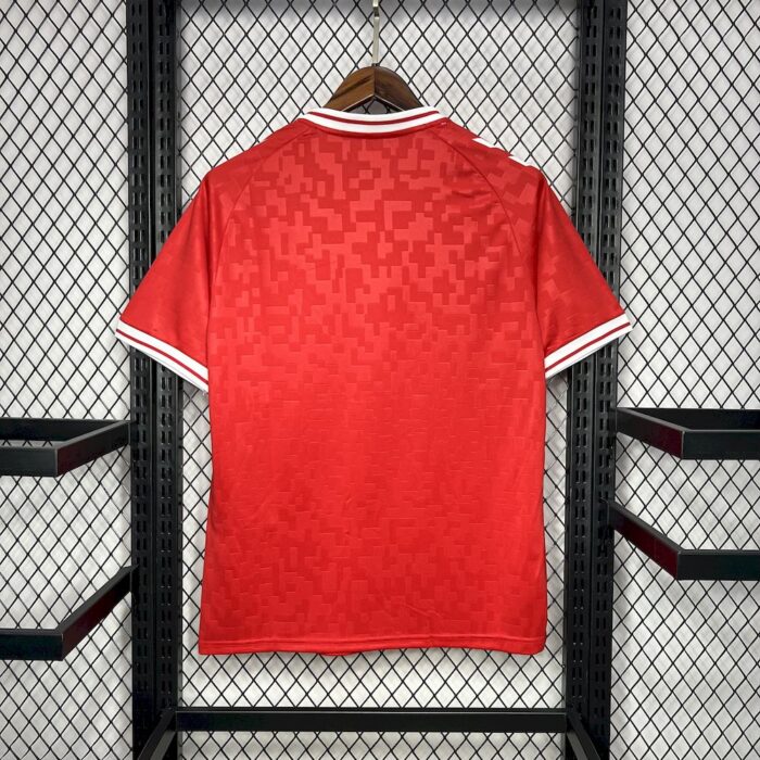Mens Denmark 2024/25 Home Jersey 1