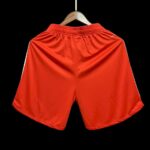 Mens Bayern Munich 2023/24 Home Shorts 1