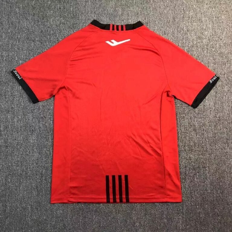 FC Seoul 2024/25 Home Jersey 1