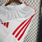 Mens S.C Internacional 2023/24 Home Shorts 5