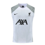 Mens Liverpool 2023/24 Pre-Match Tank Top