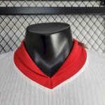 Mens Poland 2024-25 Home Jersey Player Version 4