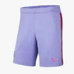 Mens Barcelona 2021/22 Away Shorts