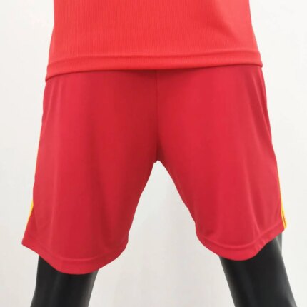 Mens Wales 2020 Home Shorts 1
