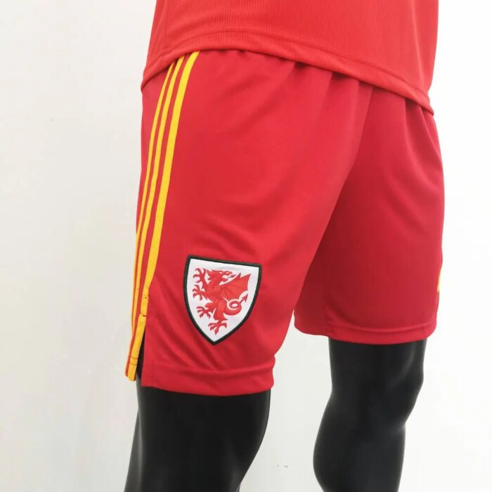 Mens Wales 2020 Home Shorts 2
