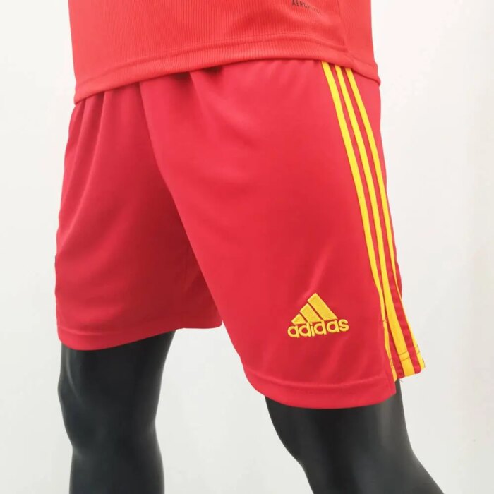 Mens Wales 2020 Home Shorts 3