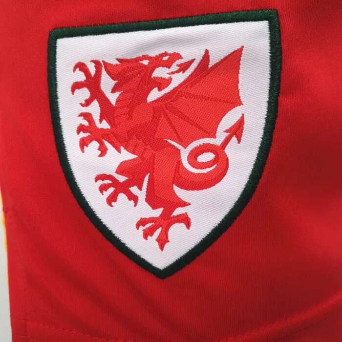 Mens Wales 2020 Home Shorts 4