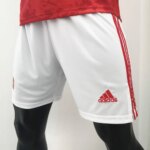 Mens Russia 2021 Home Shorts 2