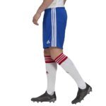Mens Russia 2021 Away Shorts 5
