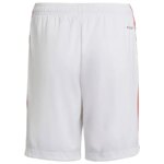 Mens Olympique Lyonnais 2021/22 Home Shorts 1