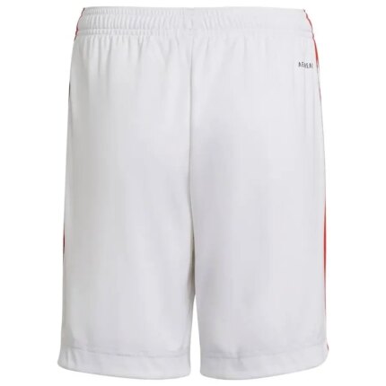 Mens Olympique Lyonnais 2021/22 Home Shorts 1