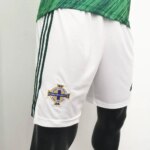 Mens Northern Ireland 2020 Home Shorts 2