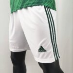 Mens Northern Ireland 2020 Home Shorts 3