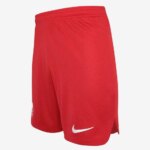 Mens Liverpool 2022/23 Home Shorts 3