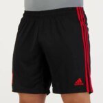 Mens Flamengo 2022 Away Shorts 3