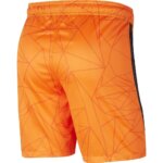 Mens Netherlands 2021 Home Shorts 1