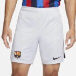 Mens Barcelona 2022/23 Third Shorts