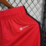 Mens Flamengo 2023/24 Red Shorts 6
