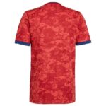 Mens Olympique Lyonnais 2021/22 Away Jersey 1