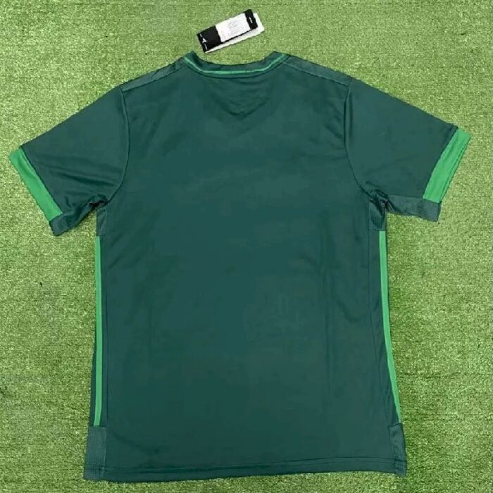 Mens Feyenoord 2021/22 Jersey 2