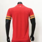 Mens Wales 2020 Home Jersey 7