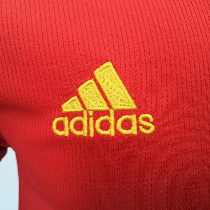 Mens Wales 2020 Home Jersey 1