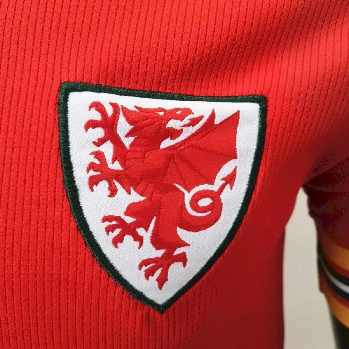 Mens Wales 2020 Home Jersey 2