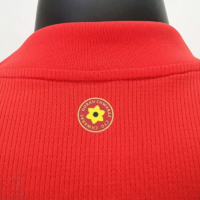 Mens Wales 2020 Home Jersey 4