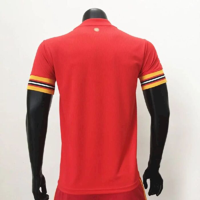 Mens Wales 2020 Home Jersey 7