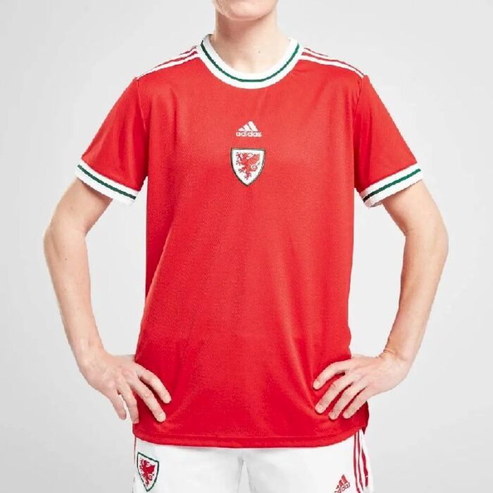 Mens Wales 2022 Home Jersey 1