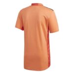 Mens Spain 2021 Goalkeeper Jersey 1