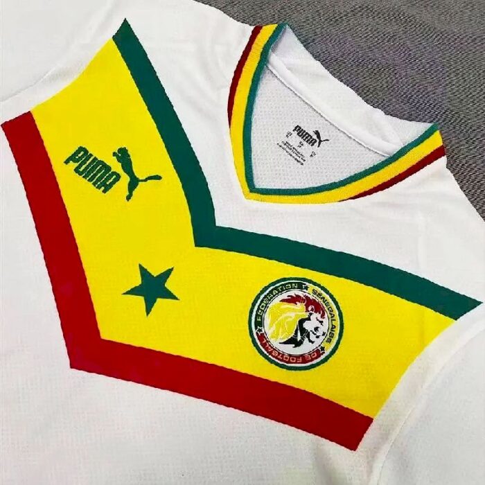 Mens Senegal 2022 Home Jersey 4