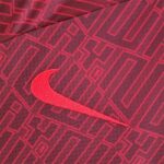 Mens Liverpool 2022/23 Pre-Match Jersey 3
