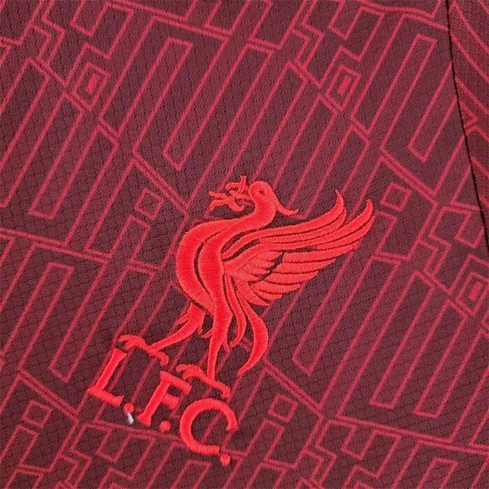 Mens Liverpool 2022/23 Pre-Match Jersey 4