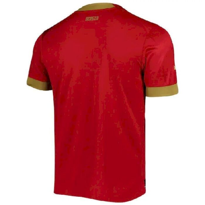 Mens Serbia 2022 Home Jersey 2