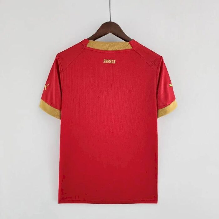 Mens Serbia 2022 Home Jersey 4