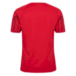 Mens Denmark 2022 Home Jersey 1