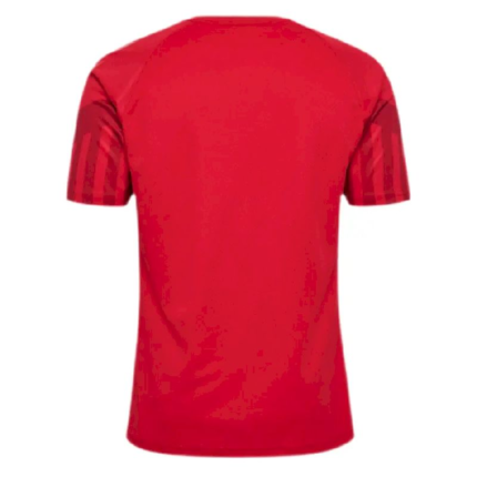 Mens Denmark 2022 Home Jersey 1