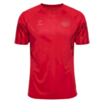 Mens Denmark 2022 Home Jersey