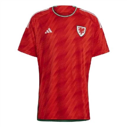 Mens Wales 2022 Home Jersey