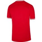 Mens Poland 2022 Away Jersey 1