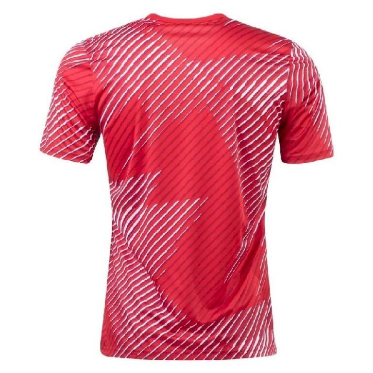 Mens Japan 2022 Pre-Match Jersey 1