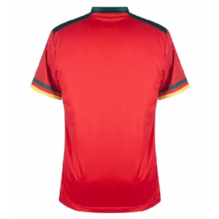 Mens Cameroon 2022 Third Jersey 1