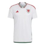 Mens Wales 2022 Away Jersey