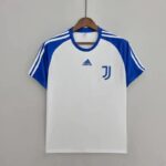 Mens Juventus 2022/23 Pre-Match Jersey White